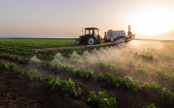 Best Pest Prevention Services  in Yarrow Point, WA