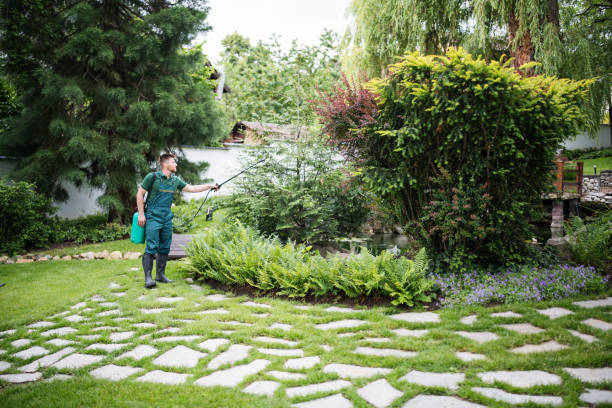 Best Local Pest Control Services  in Yarrow Point, WA
