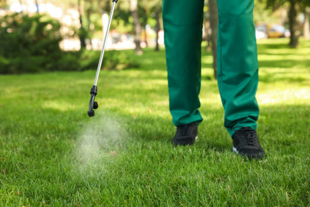 Best Insect Control  in Yarrow Point, WA