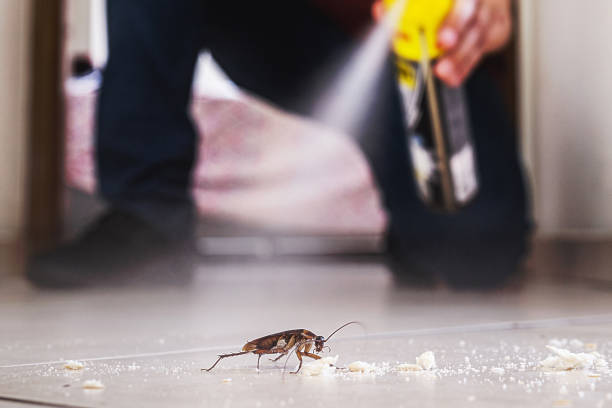 Pest Prevention Services in Yarrow Point, WA