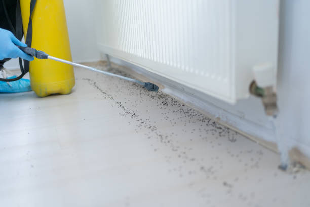 Best Exterminator Services  in Yarrow Point, WA