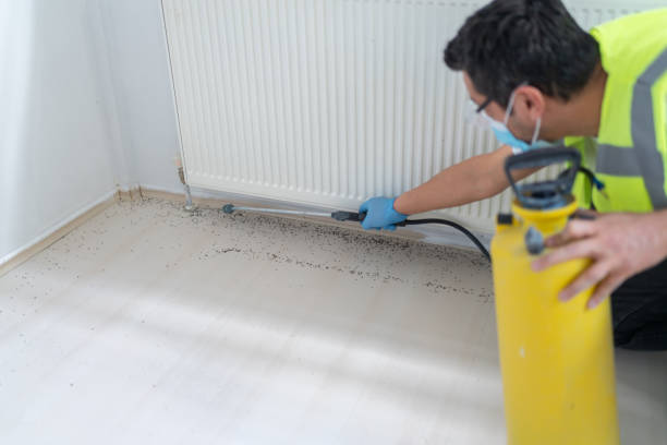 Reliable Yarrow Point, WA Pest Control Solutions